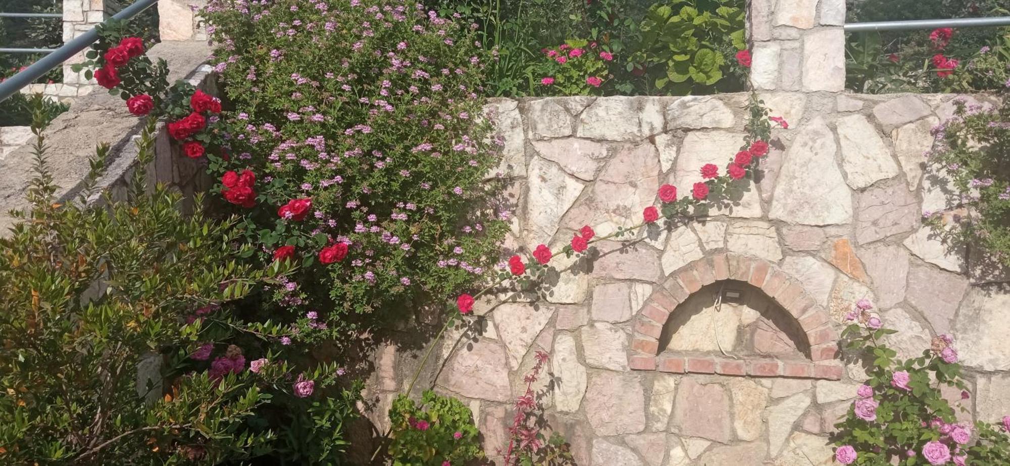 Helen Apartments Lukovë エクステリア 写真